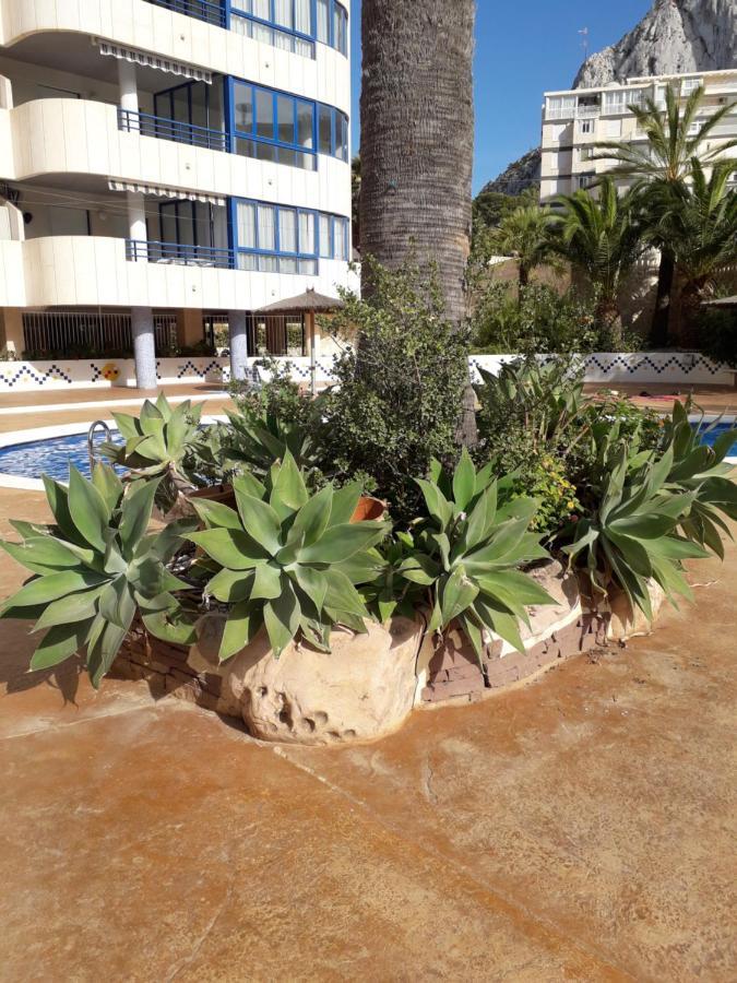 Appartement Equipe Calpe Espagne, 4 Couchages, Terrasse, Piscines, Climatisation, Garage, Wifi Gratuits Dış mekan fotoğraf